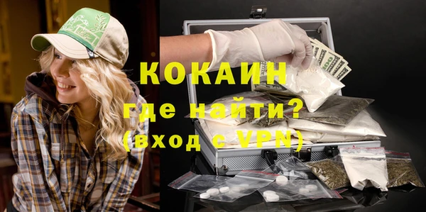индика Лиски