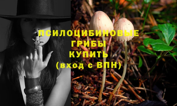 мдпв Березники