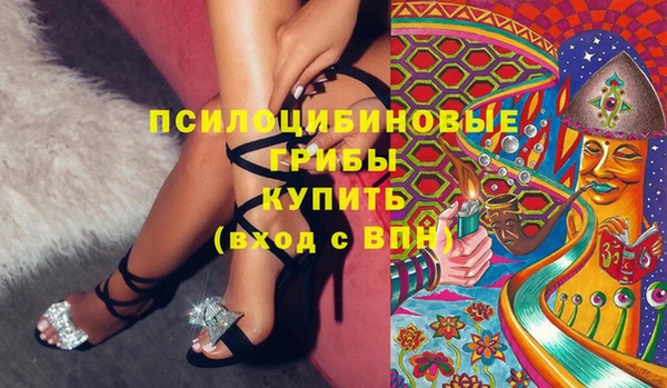 индика Лиски